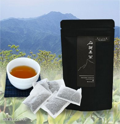 石鎚黒茶